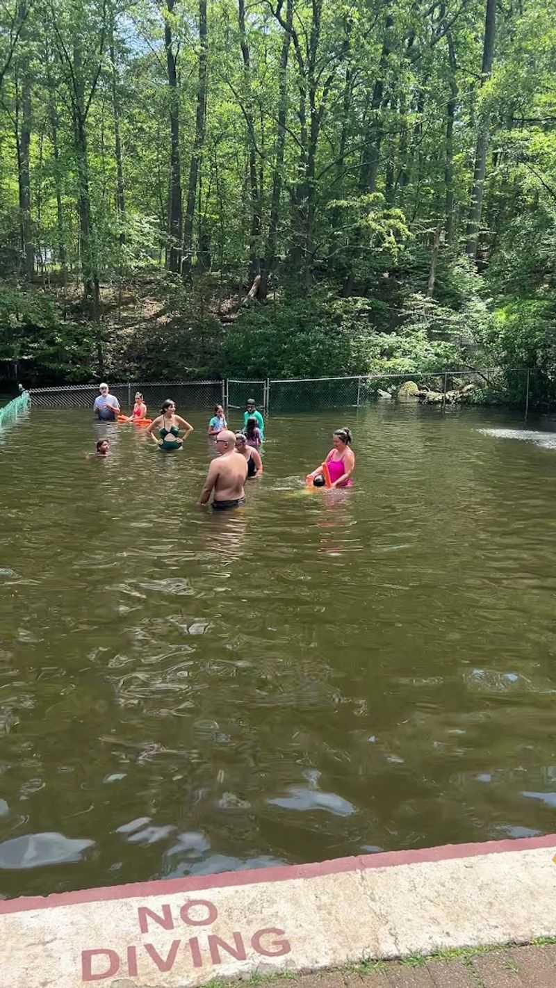 What the Crowd and Capacity Situation Actually Looks Like