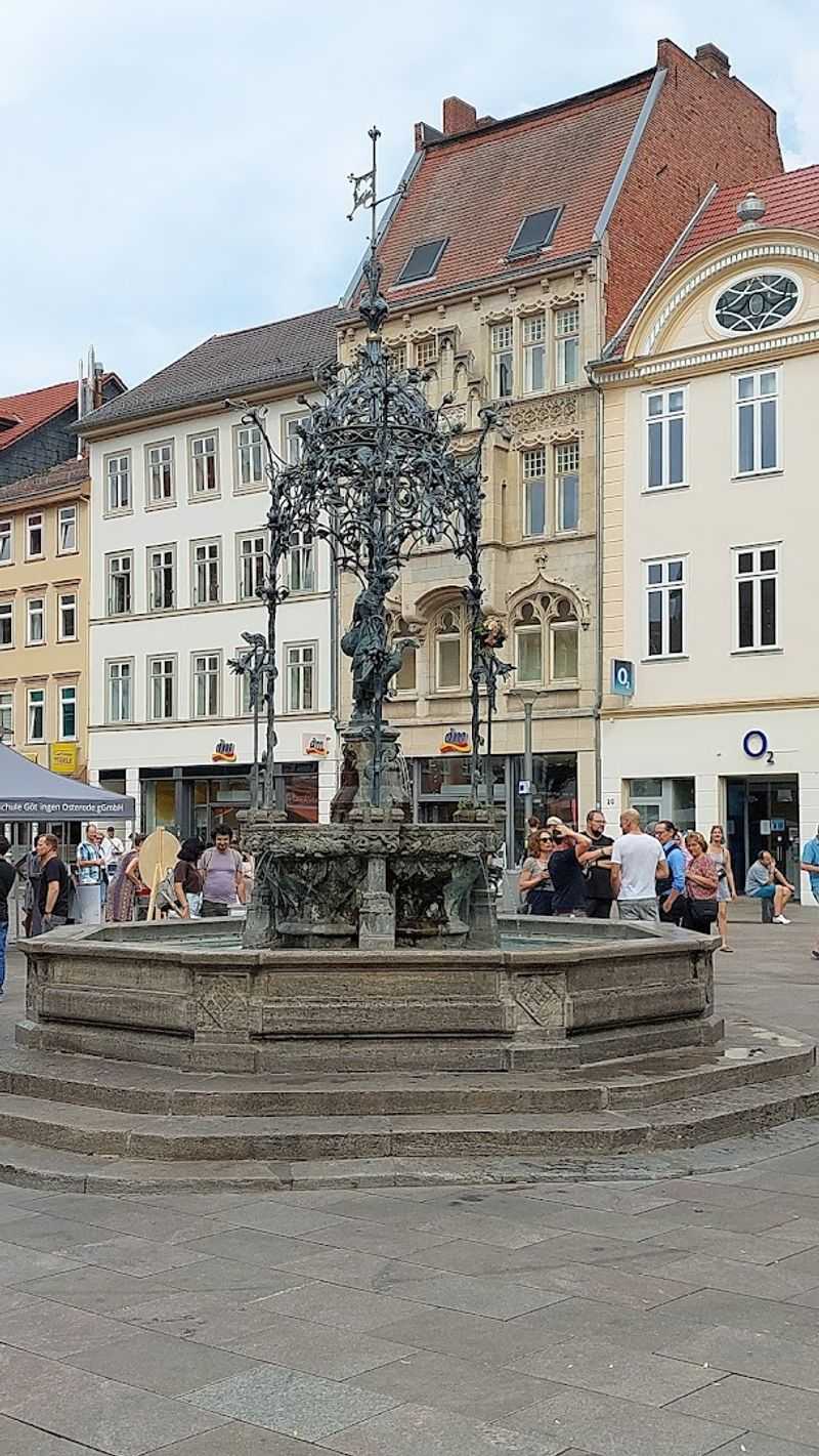 The Law That Came Because of Her