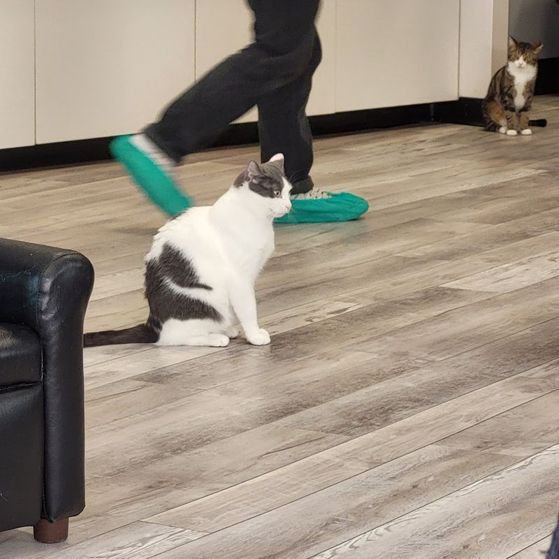 Clean, Cozy, and Carefully Run