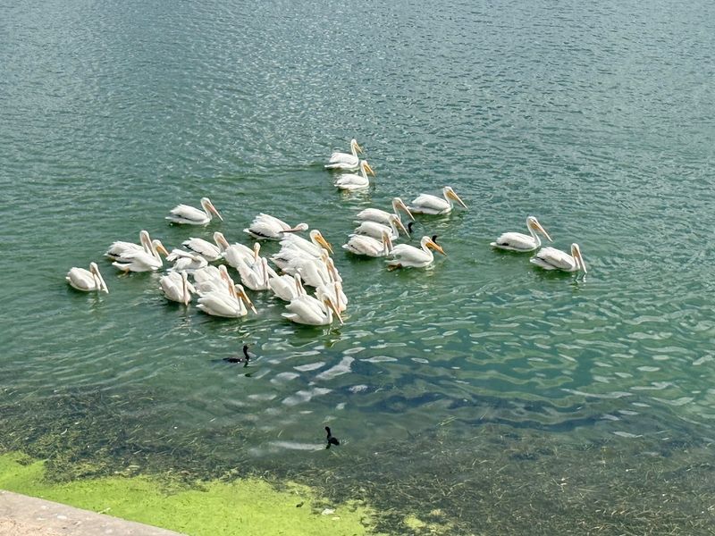 Lake Mirror: The Stunning Backdrop That Elevates Everything