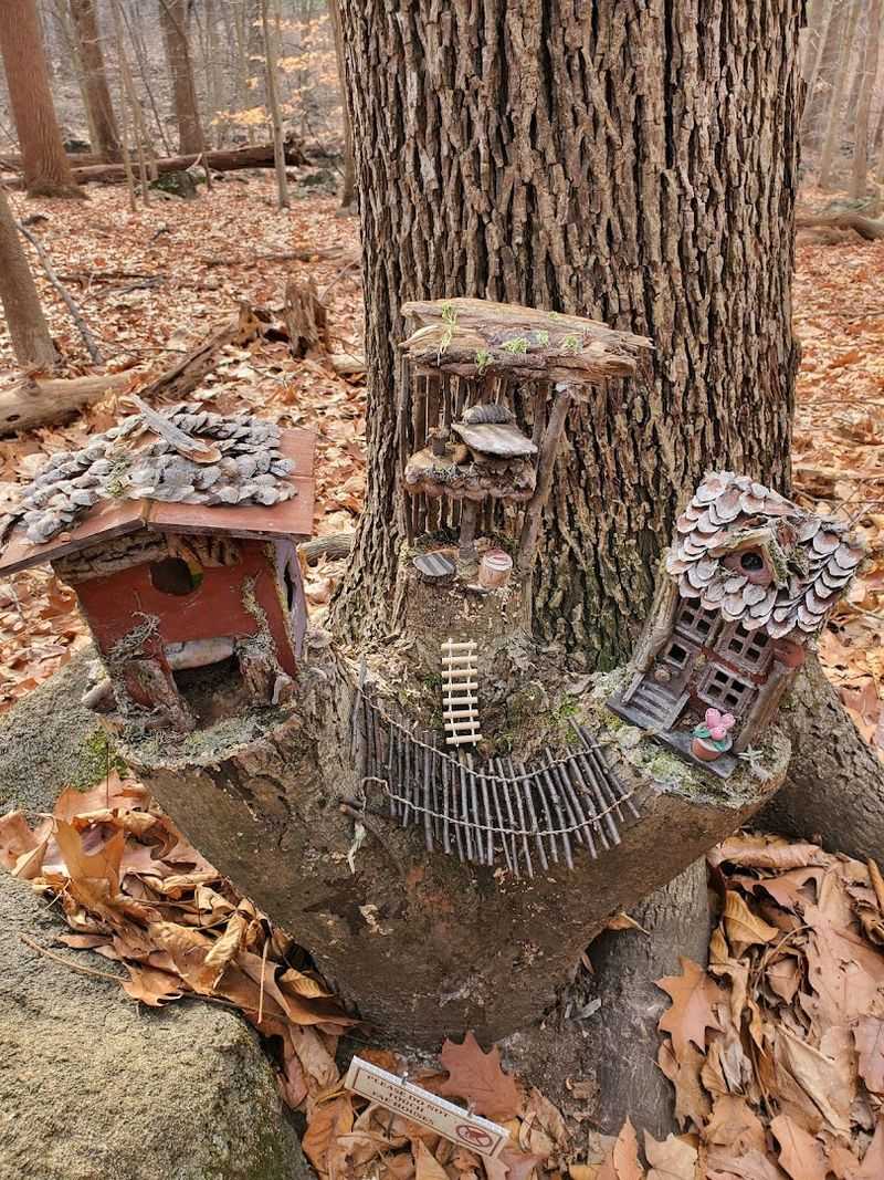 Why This Trail Works So Well for Kids