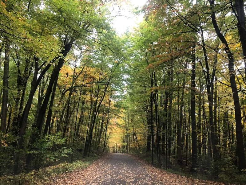 Trails That Reward Every Type of Hiker