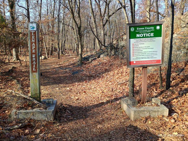 Where to Find This Hidden Woodland Retreat