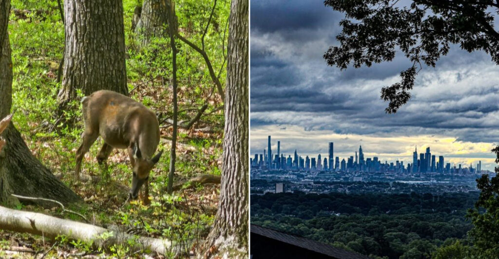 The Land That Was Almost Lost Forever Is Now One of New Jersey’s Most Stunning Escapes