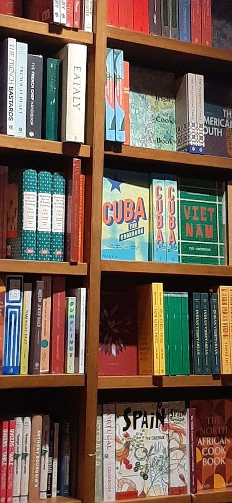 A Book Selection That Covers Every Corner of Curiosity