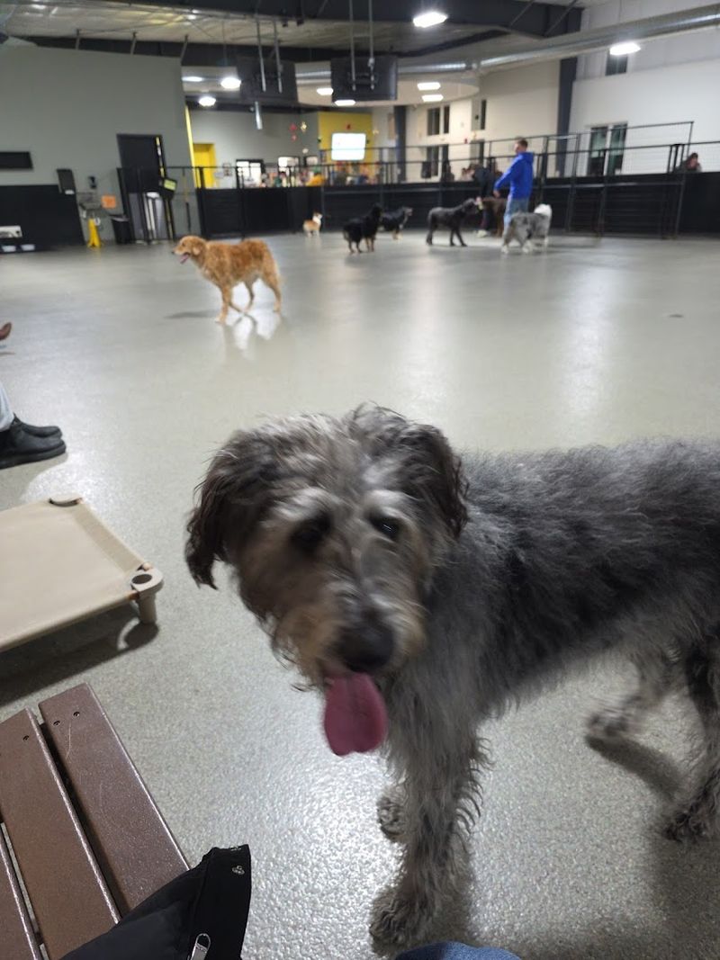 What the Food Menu Actually Looks Like