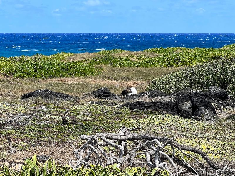 The Predator-Proof Fence and Wildlife Sanctuary