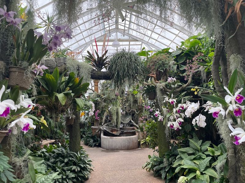 Nearly 2,000 Orchids Under One Roof