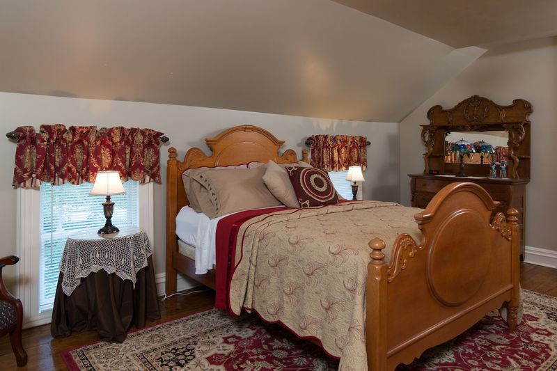 Pet Therapy, Murray, and the Charm of a Truly Home-Like Stay