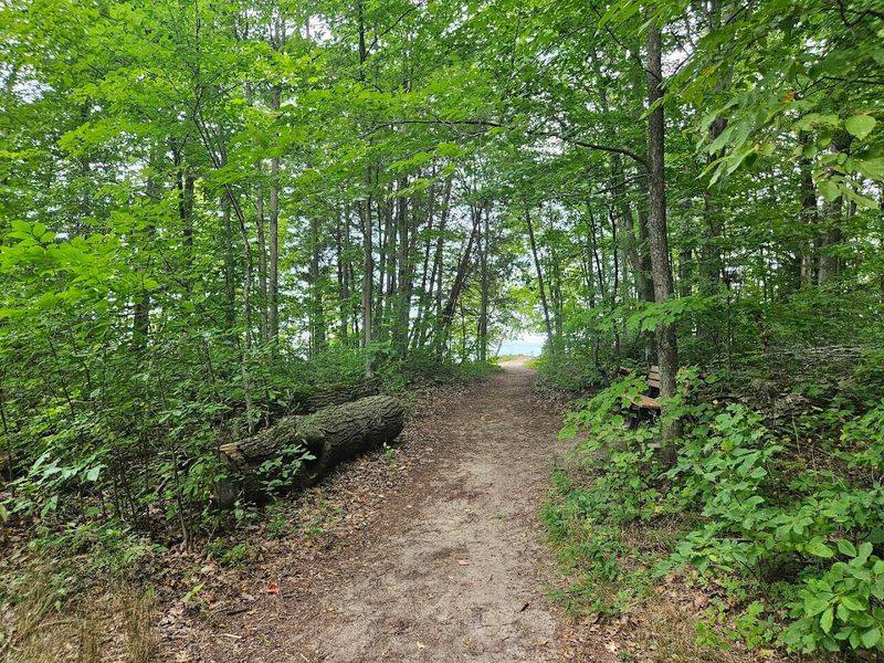 Trails That Wind Through Orchard Ghosts