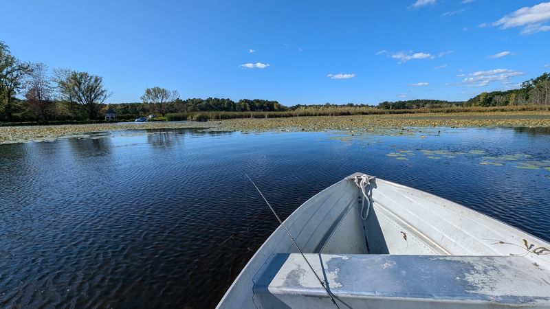 Fishing from the Pier and Renting a Rowboat on the Lake