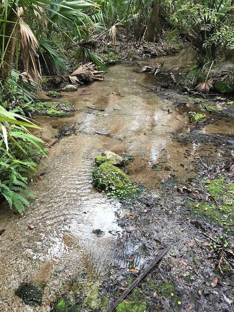 Boulder Spring and the Fossil Hunt