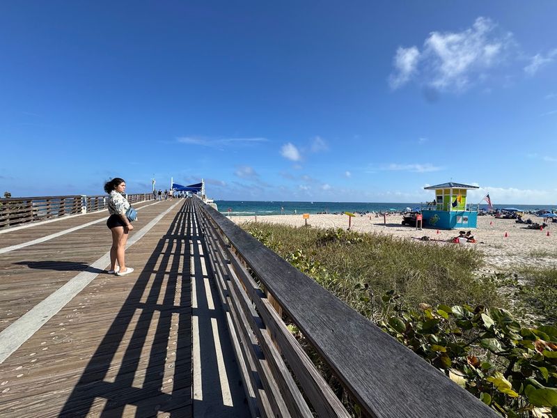 The Pier View and Birdwatching Side Effect