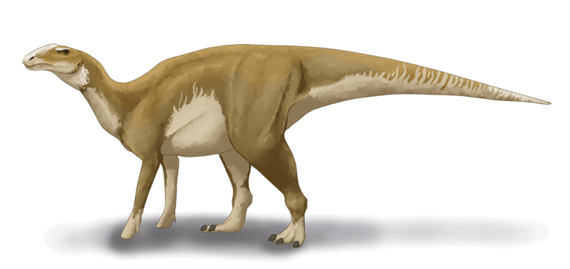 What Hadrosaurus Actually Looked Like