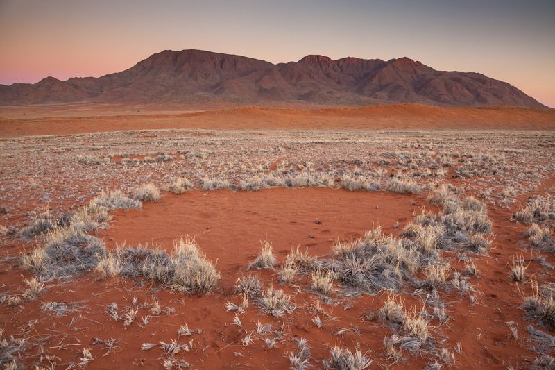 The Namib Desert Fairy Circles - Namibia