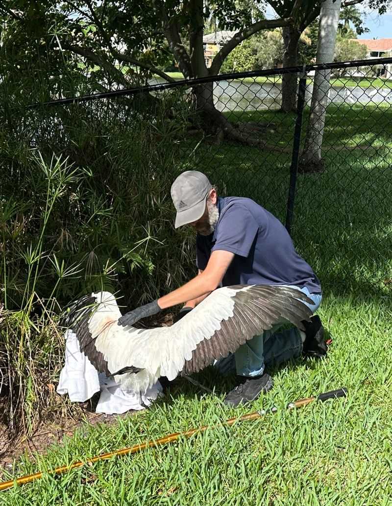 Responding Fast: The Center's Field Rescue Operations