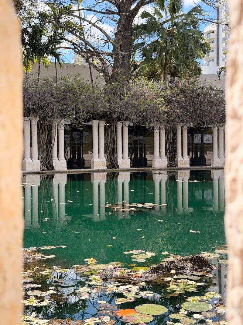 The Educational Wing Under Development