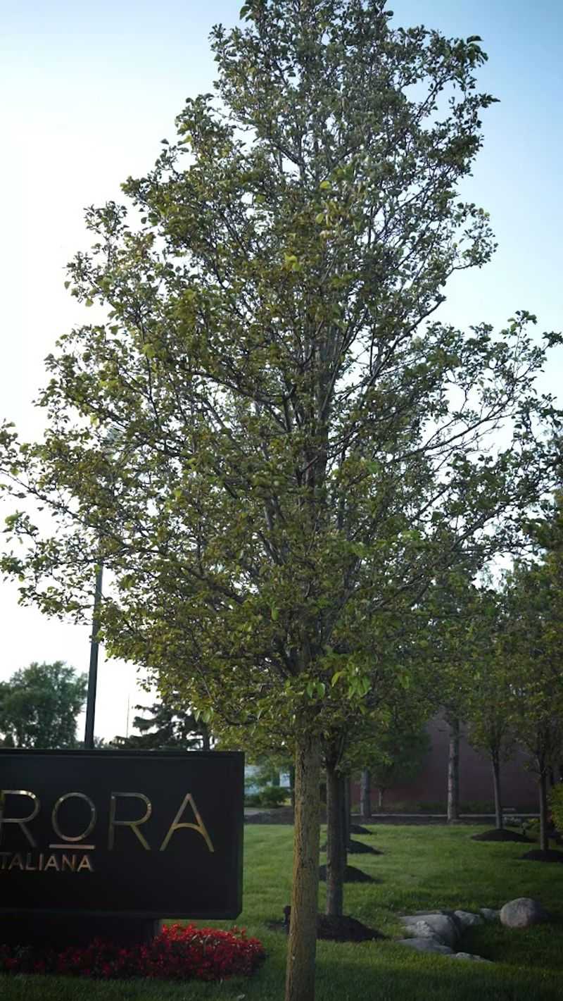 Where You Will Actually Find This Place