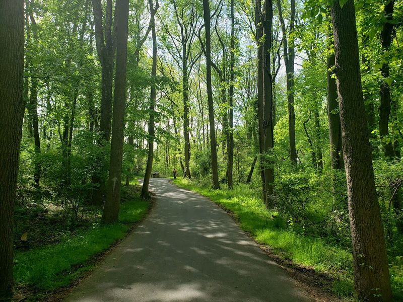 Trails That Work for Every Pace