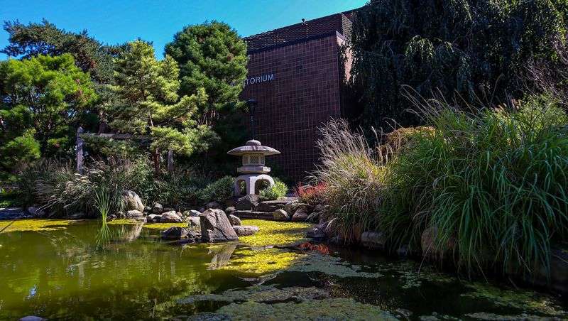 Why the Garden Feels Like a Secret Even Though It Is Right There