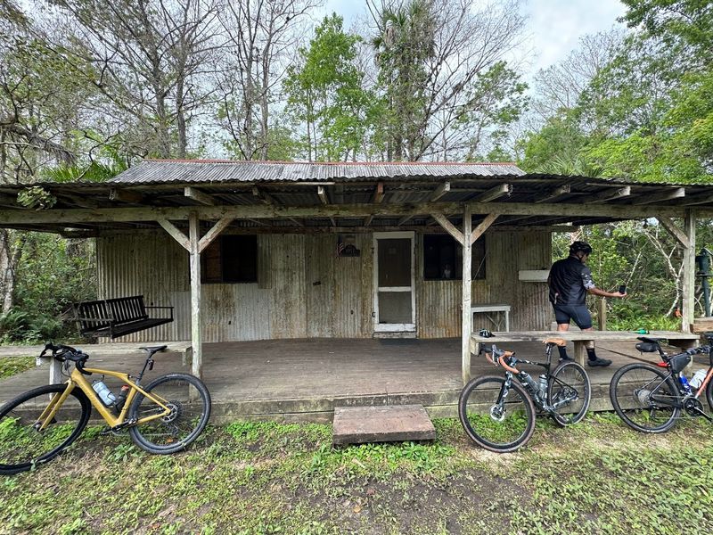 Biking and Running Through the Swamp