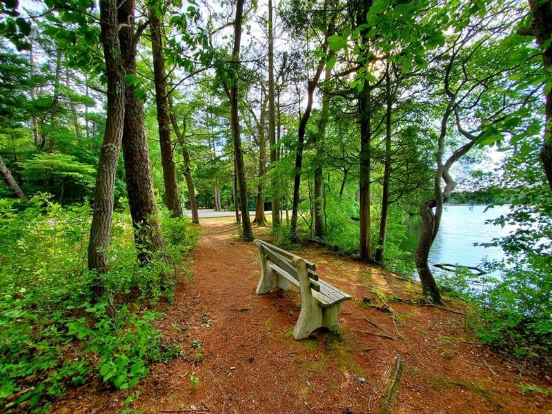 Practical Tips Before You Go