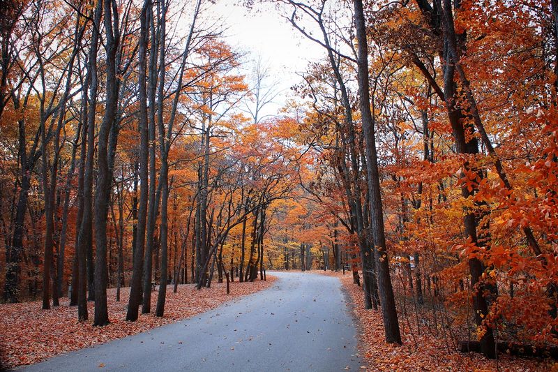 Fall Foliage, Best Times to Visit, and Tips for Planning Your Trip