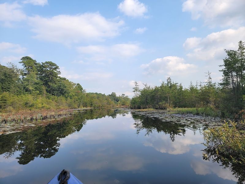 Fishing, Boating, and Waterfront Access