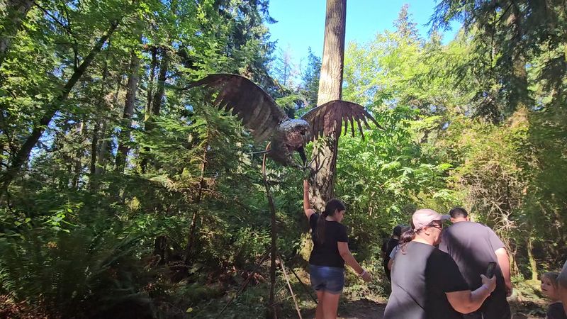 Practical Tips for Your Visit