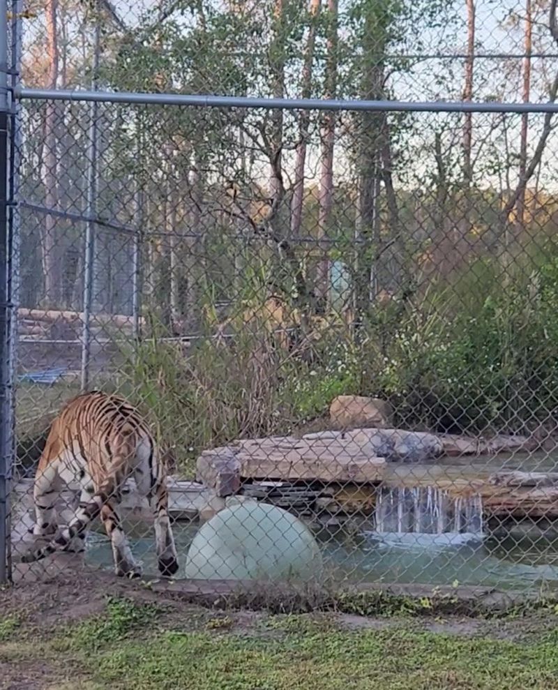 Sunday Enrichment Activities