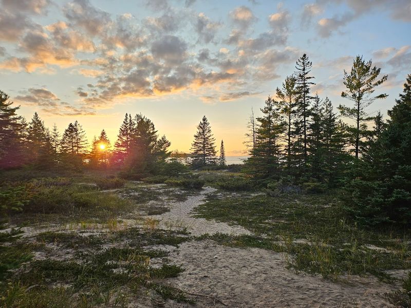 Wildlife and Wildflowers You Did Not Expect