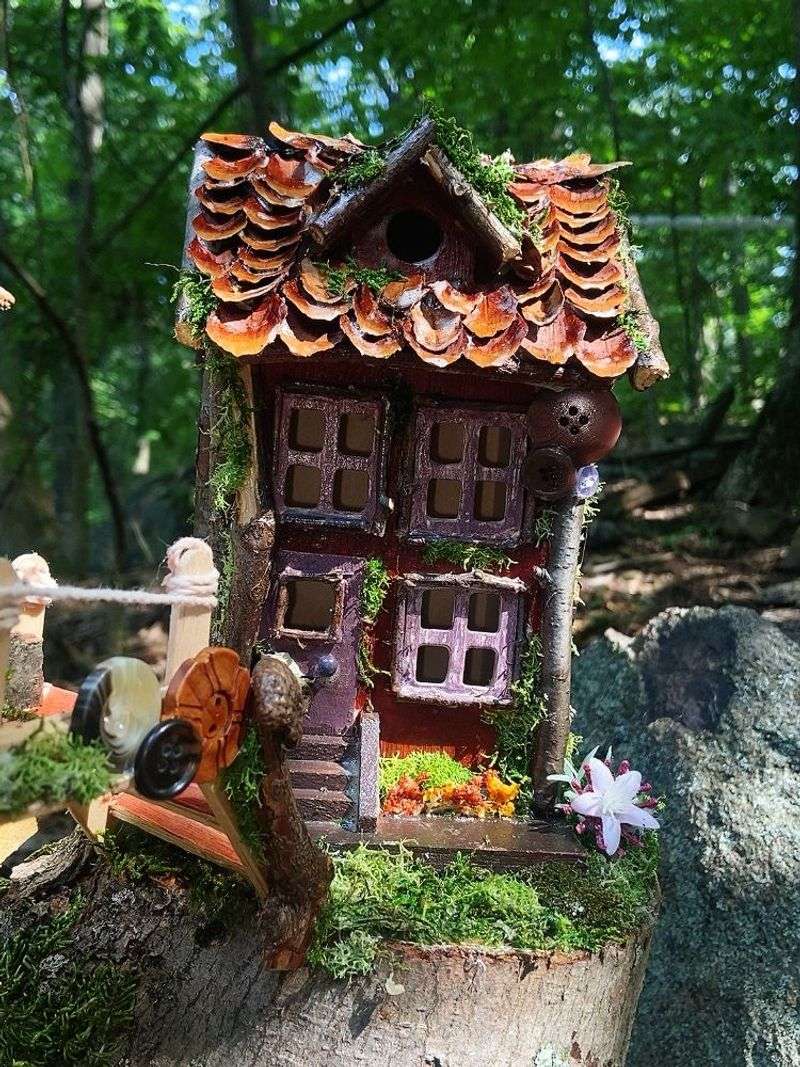 The Artistic Side of a Nature Walk