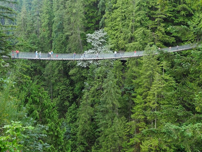 Capilano Suspension Bridge, British Columbia