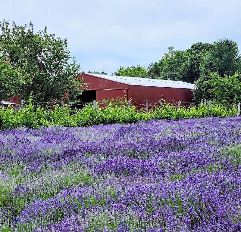 Timing Your Visit Makes The Colors Work Harder