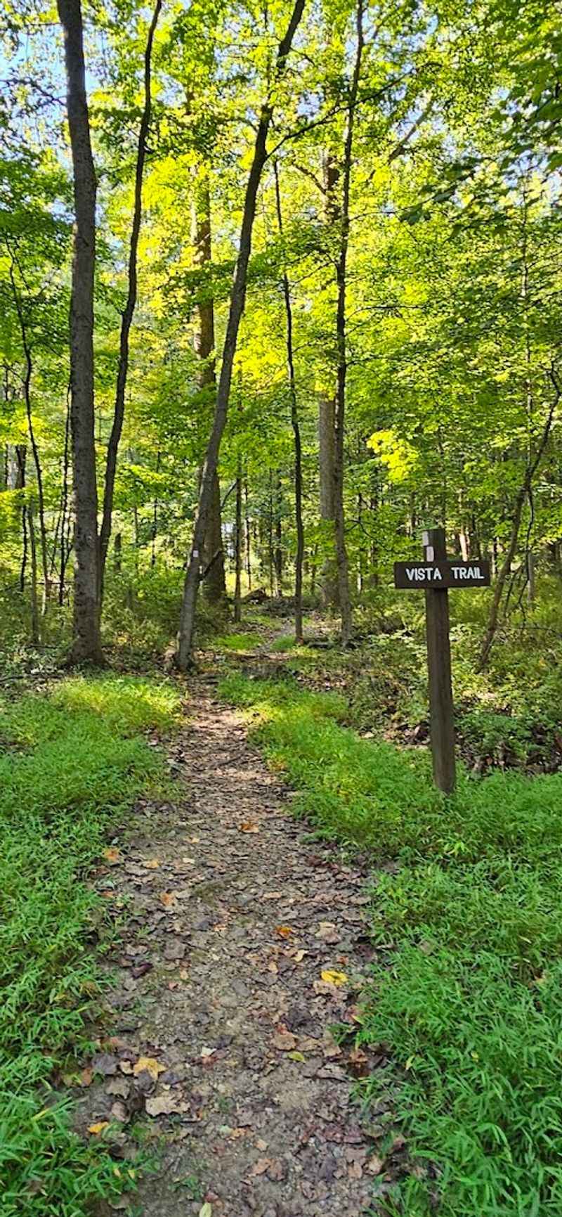 Trails That Actually Give You a Workout