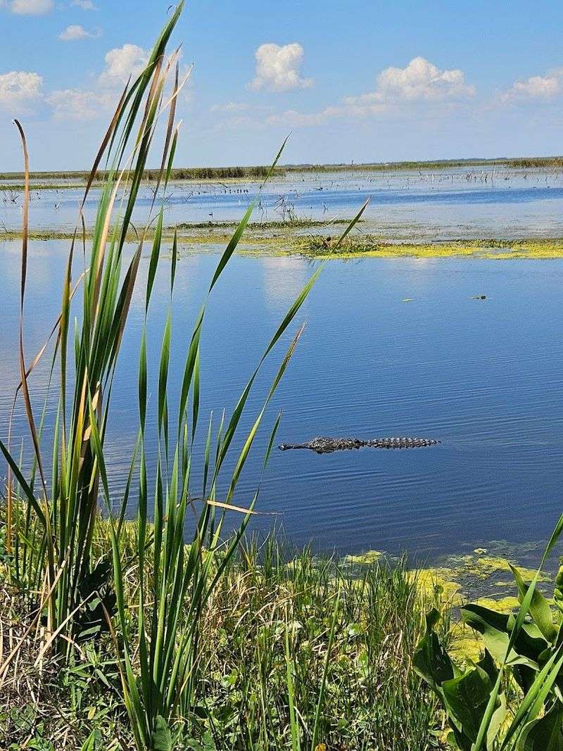 Why This Drive Keeps Pulling People Back