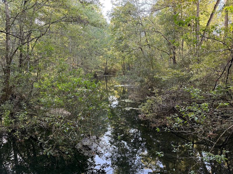 Hiking Trails Through 6,000 Forested Acres