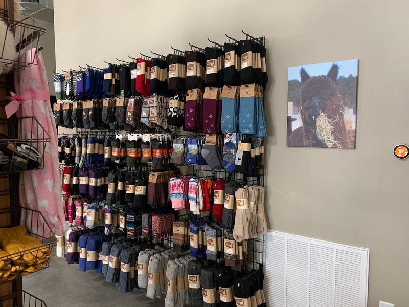 Alpaca Socks That Actually Kept Feet Warm Below Zero