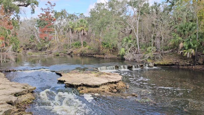 What to Explore Near Steinhatchee Before or After Your Meal