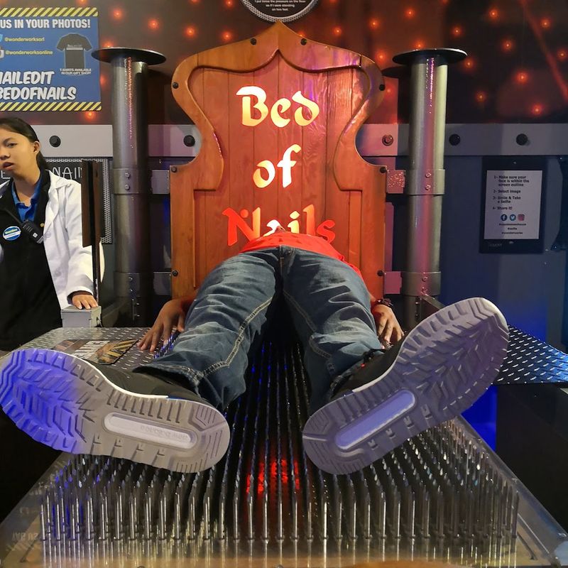 The Bed of Nails Exhibit That Sounds Scary but Delivers Pure Wonder