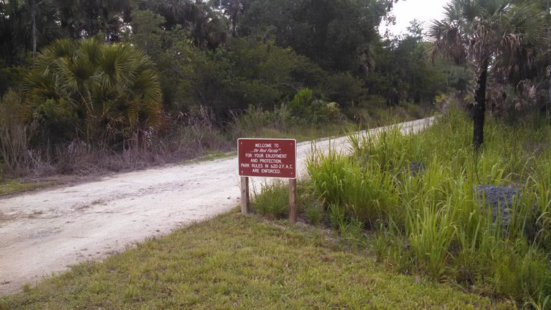 Jane's Scenic Drive and the Road That Tests Your Patience