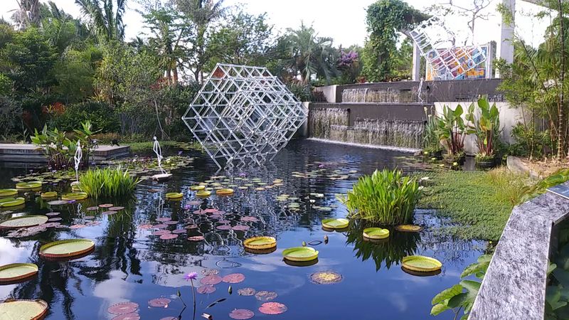 The Lily Ponds and Water Features: The Garden's Showstoppers