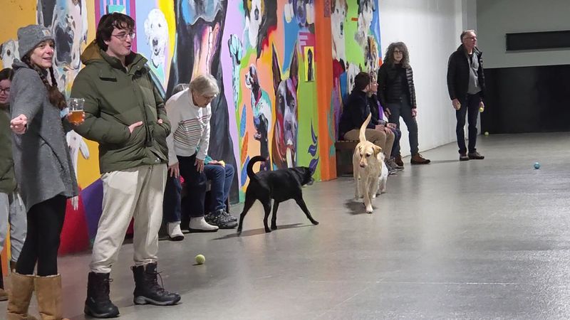 Hours, Location, and What to Know Before You Go