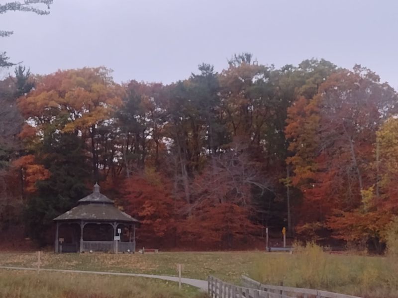 Lincoln Lake and the Gazebo Worth Pausing For