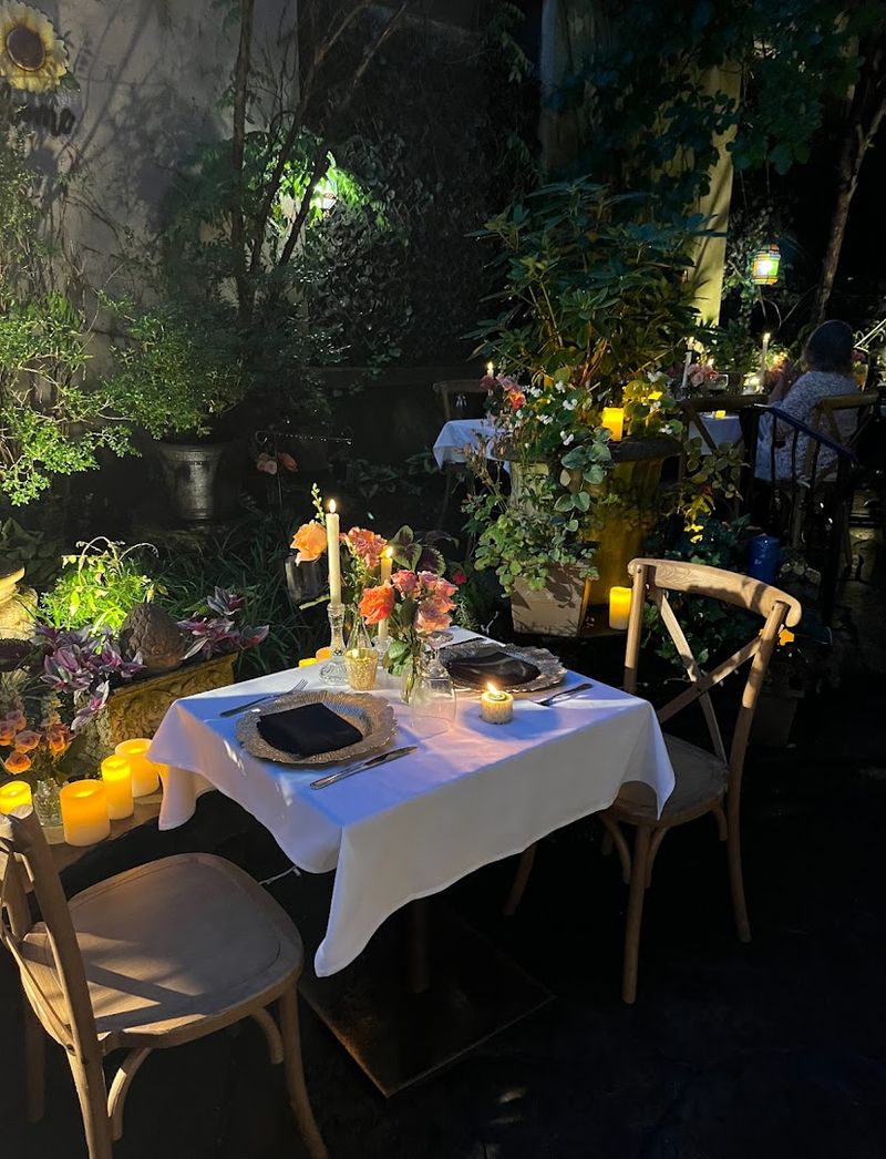 The Back Garden in Bloom