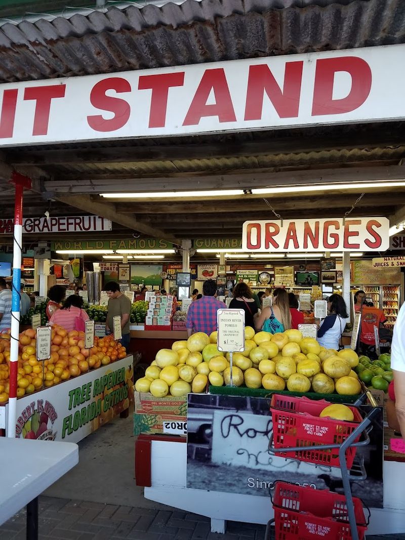 A Perfect Stop on the Way to the Keys or Everglades