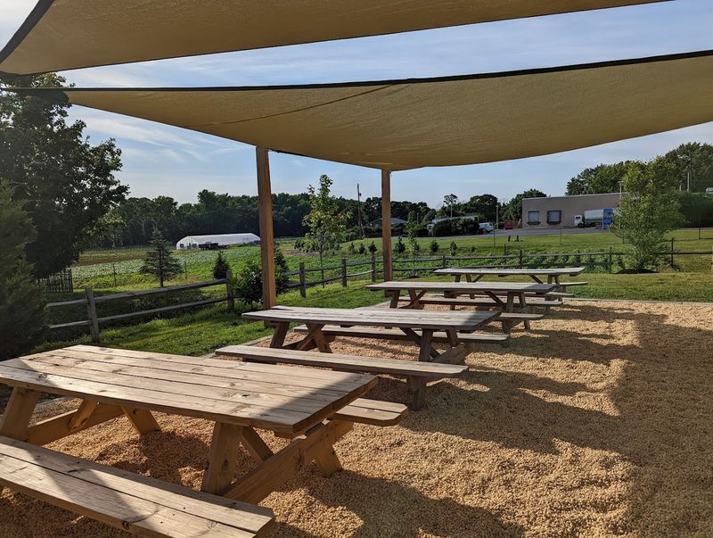 Bringing the Kids and the Dog Along