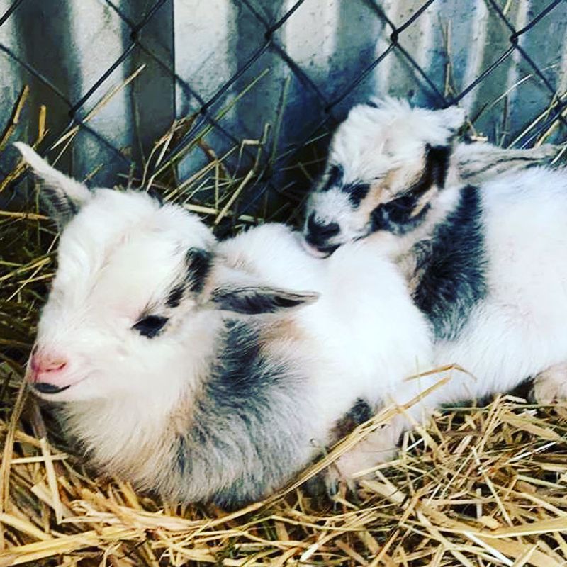 Why Families With Kids Should Put This on the List