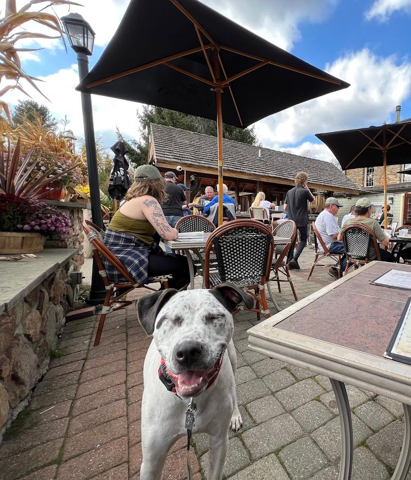 A Family-Friendly Spot With Broad Appeal