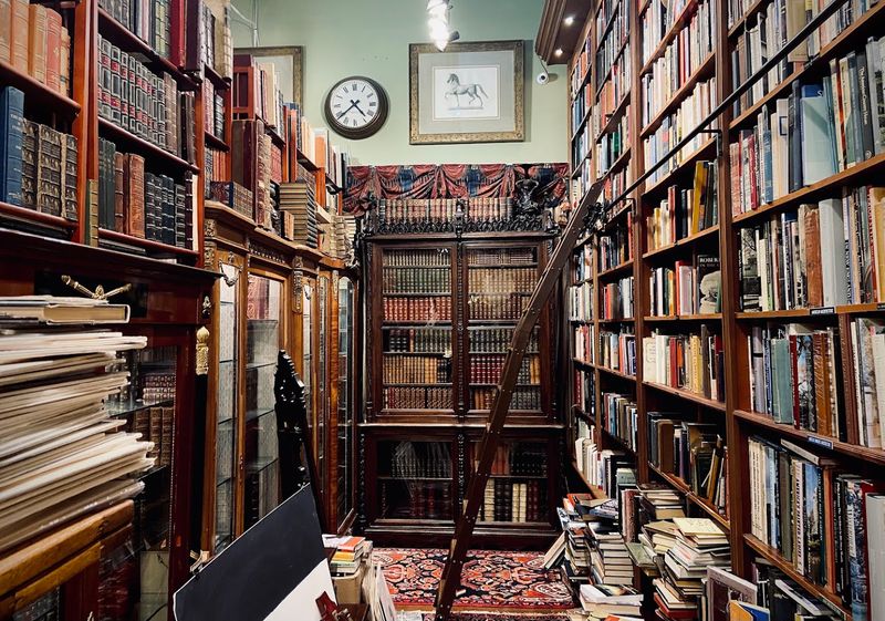 Rare Books and Antique Finds Worth Hunting For